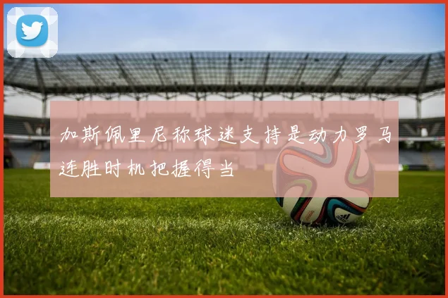 加斯佩里尼称球迷支持是动力罗马连胜时机把握得当